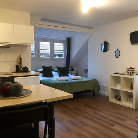 Coquet Studio Colmar Centre 外观 照片